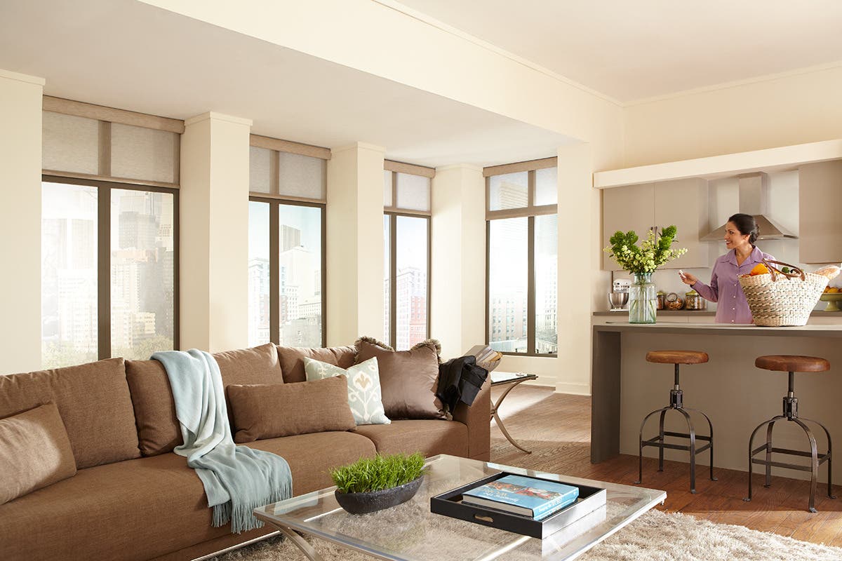 Living Room With Partially Closed Sheer Roller Shades