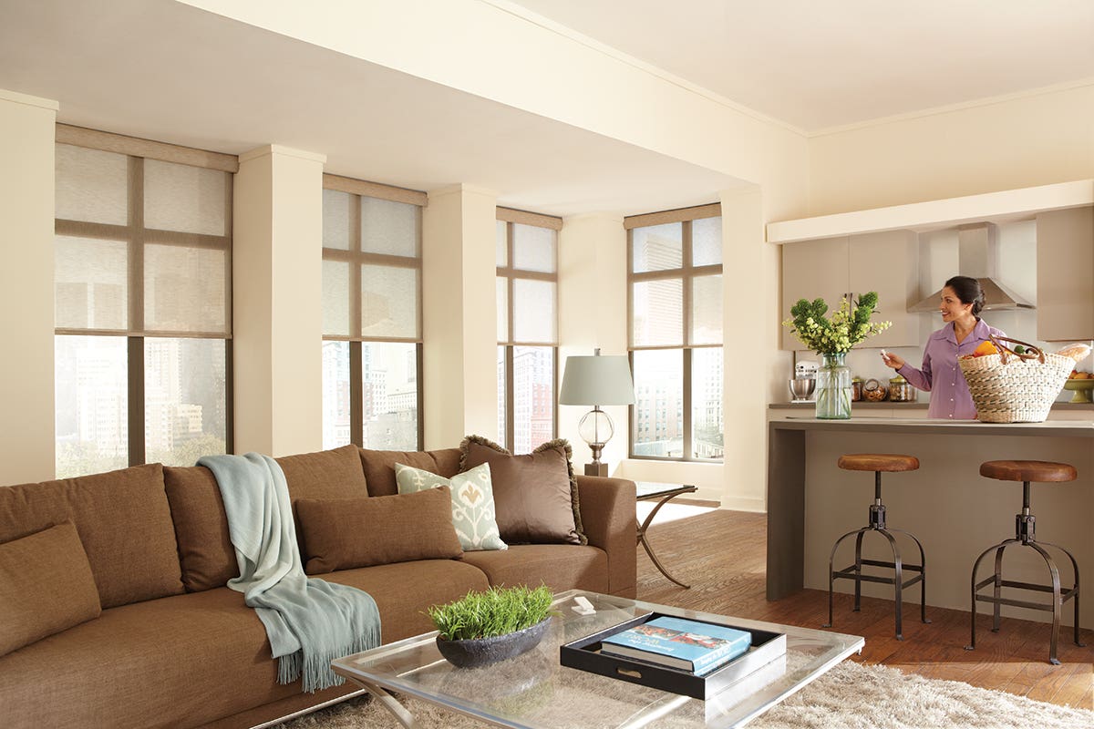 Living Room With Open Sheer Roller Shades